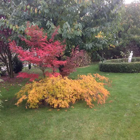 Im Schoenen Garten * 할덴슬레벤