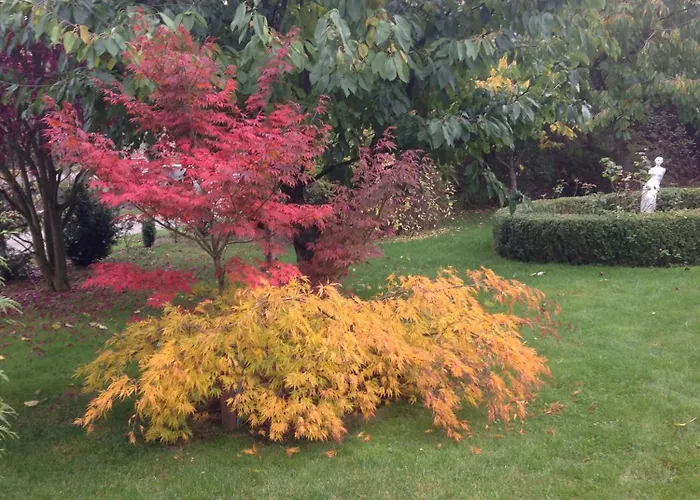 Im Schoenen Garten * Haldensleben
